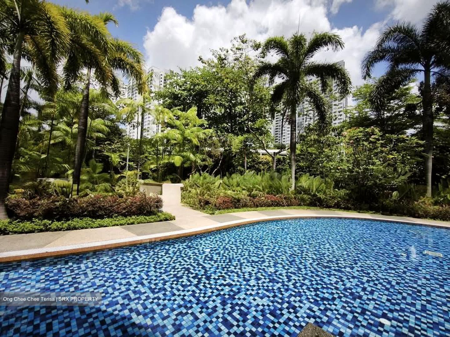 Beacon Heights (D12), Condominium #583420241